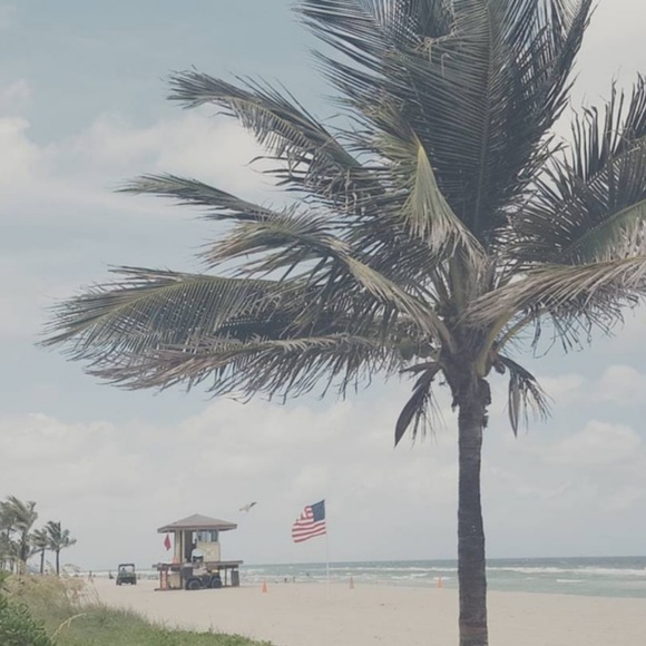 Meet your Posher, Lexi - Picture 4 of 8